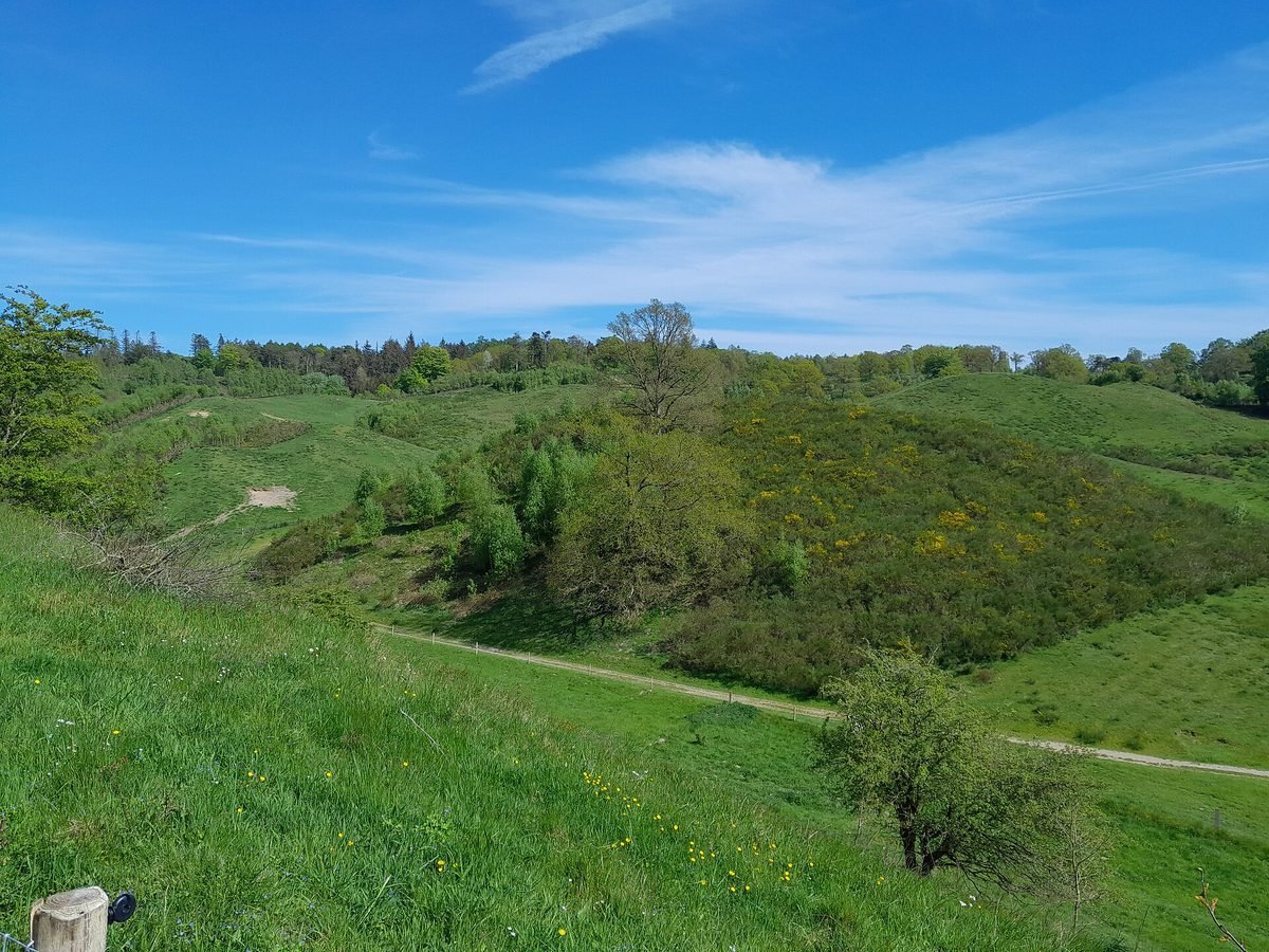 Gr&uuml;ne H&uuml;gellandschaft der Svanninge Bakker auf F&uuml;nen