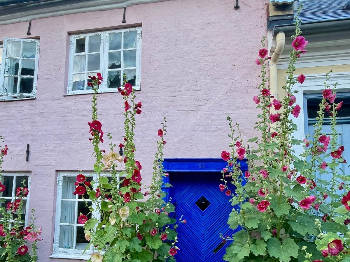 Rosa Haus mit blauer Tür und Stockrosen auf &AElig;r&oslash;