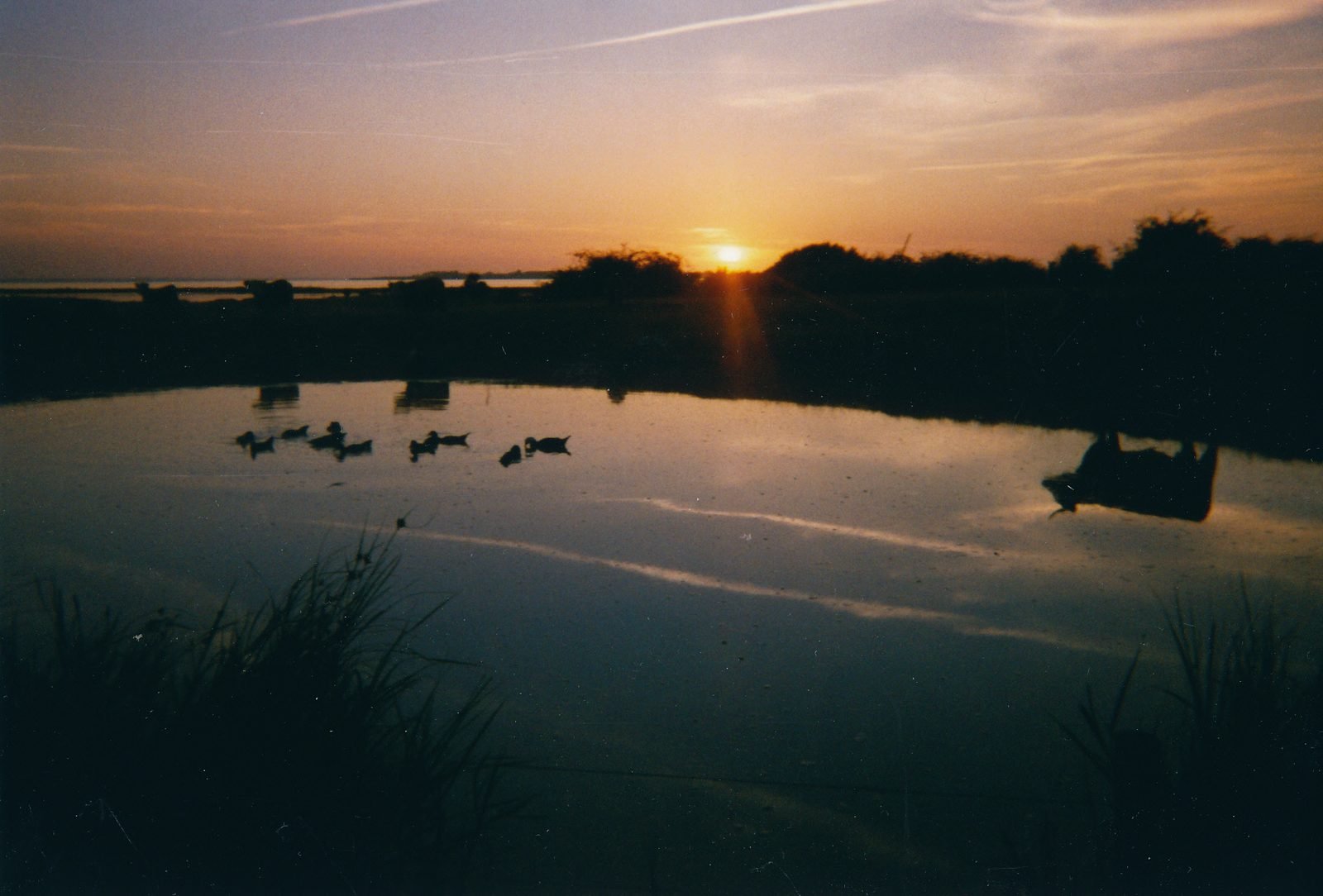 Abendstimmung auf Avernak&oslash; mit Sonnenuntergang &uuml;ber dem Wasser